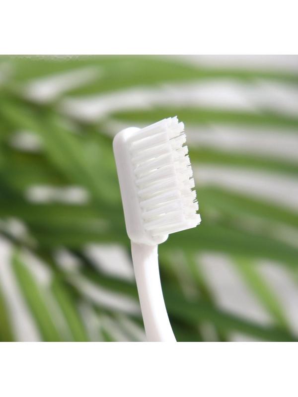 Набор дорожный: зубная паста Silcamed family, 30 г + зубная щётка Silcamed