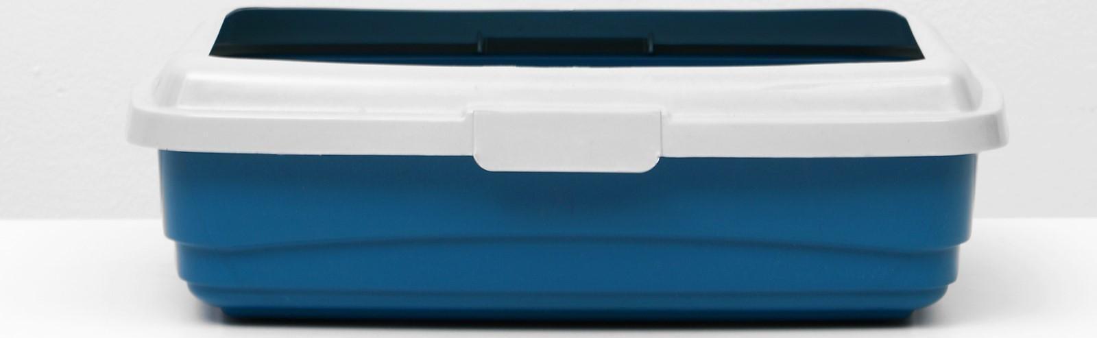 Лоток большой с бортиком Atlantis 