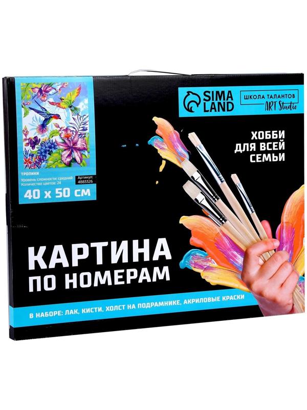 Картина по номерам на холсте с подрамником «Тропики» 40×50 см