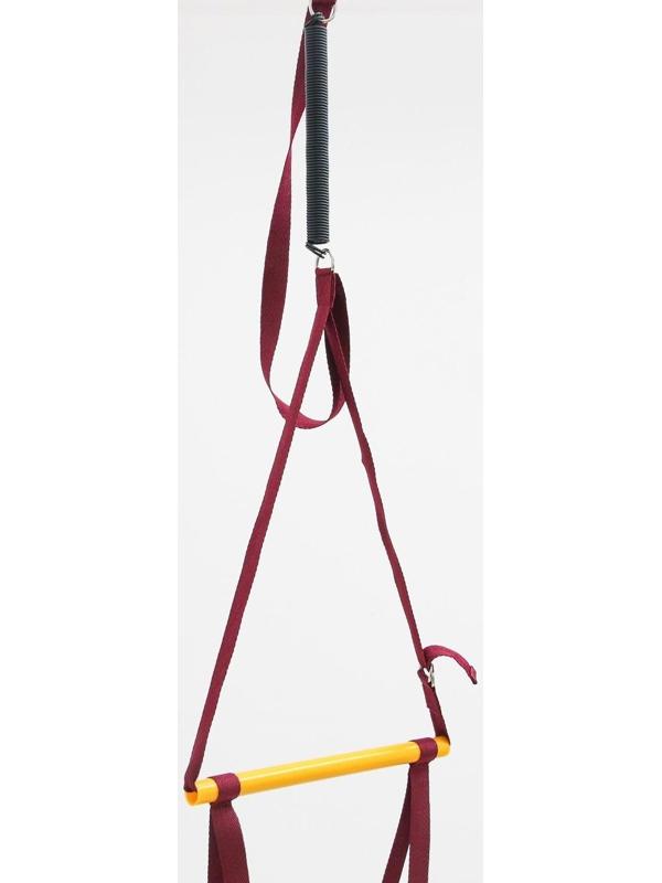 Прыгунки №2 «Пряники, Леденец» (прыгунки, качели, тарзанка), цвет МИКС