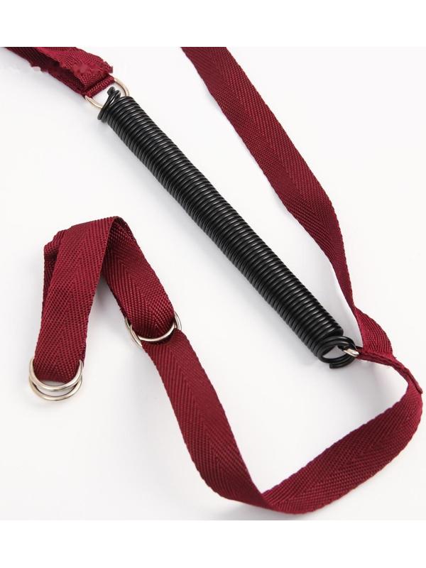 Прыгунки №2 «Пряники, Леденец» (прыгунки, качели, тарзанка), цвет МИКС