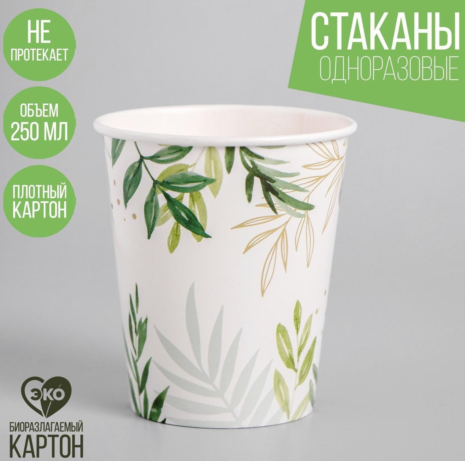 Стакан бумажный «Природа», 250 мл