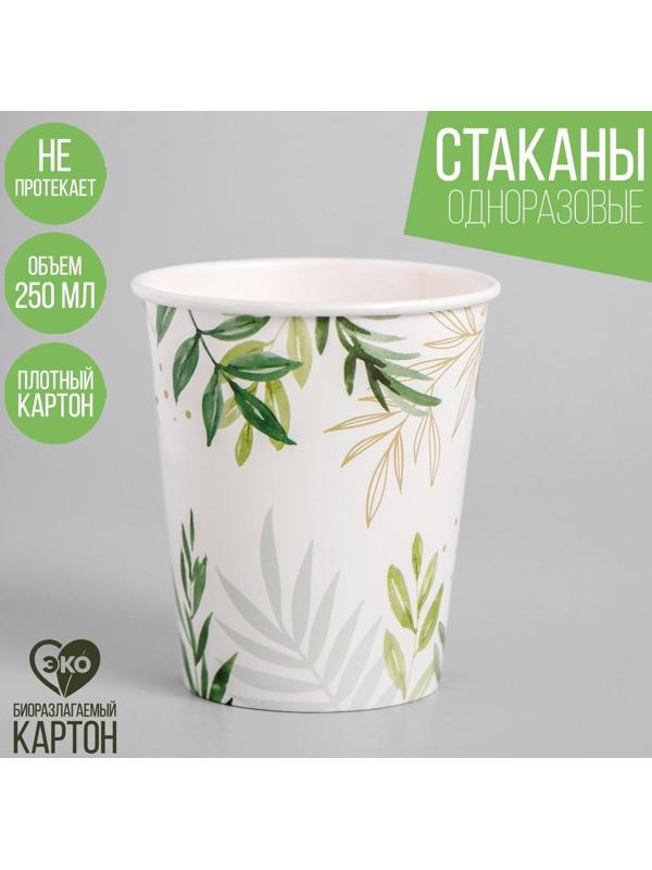 Стакан бумажный «Природа», 250 мл