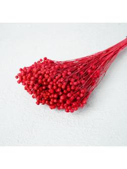 Сухоцвет «Абрус» набор 24 шт, цвет розовый