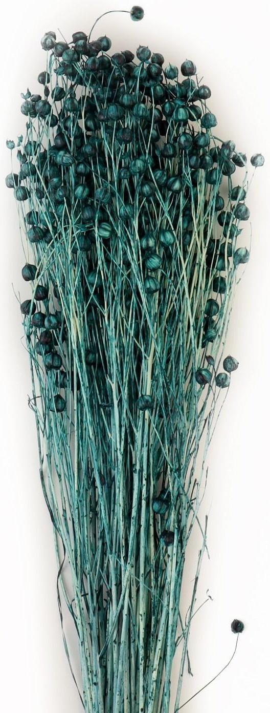 Сухоцвет «Абрус» набор 24 шт, цвет голубой