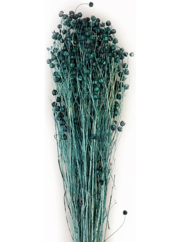 Сухоцвет «Абрус» набор 24 шт, цвет голубой