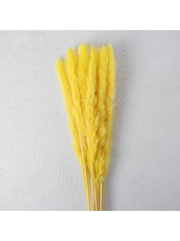 Сухоцвет «Камыш» набор 15 шт, цвет жёлтый