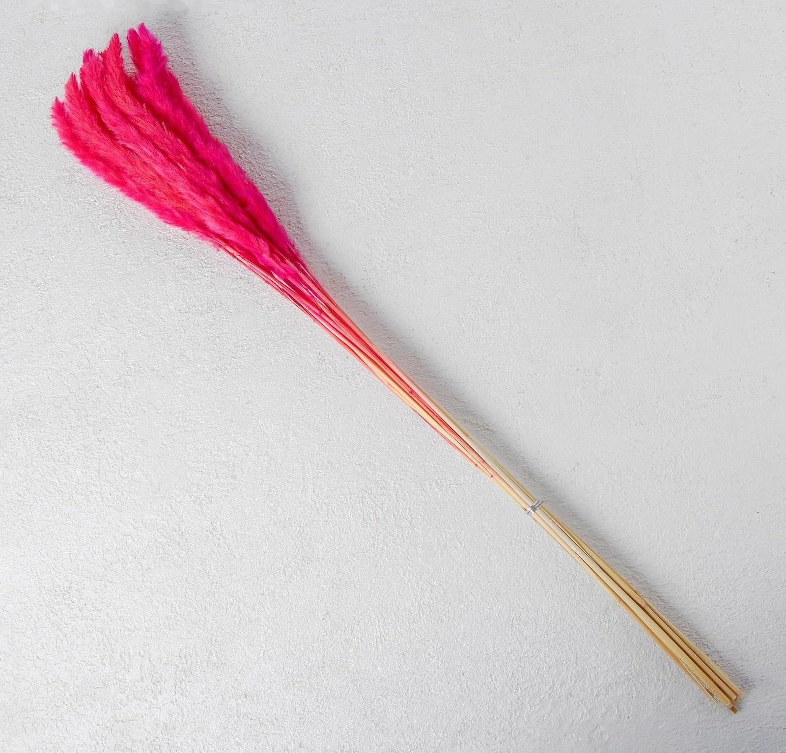 Сухоцвет «Камыш» набор 15 шт, цвет красный