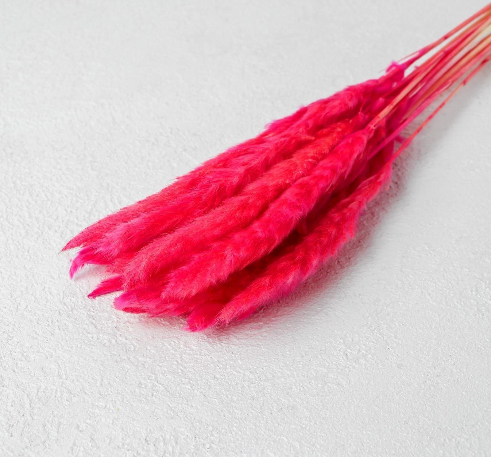 Сухоцвет «Камыш» набор 15 шт, цвет красный