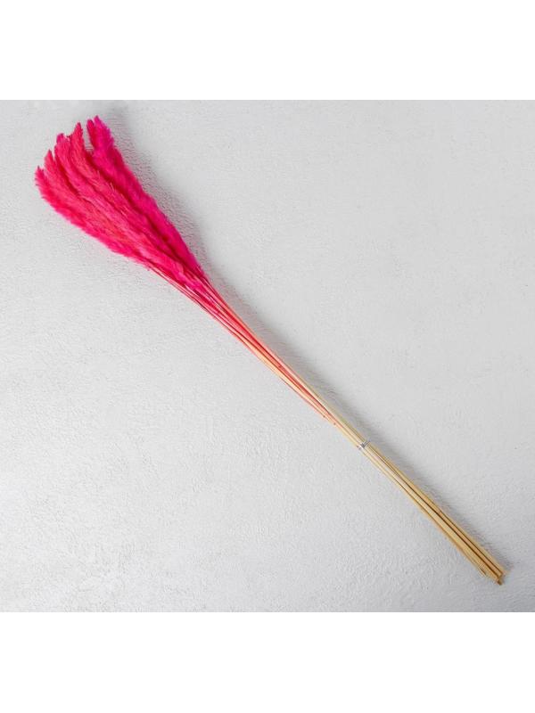 Сухоцвет «Камыш» набор 15 шт, цвет красный