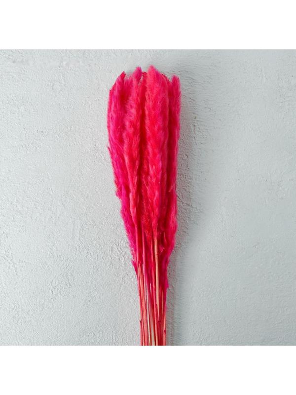 Сухоцвет «Камыш» набор 15 шт, цвет красный