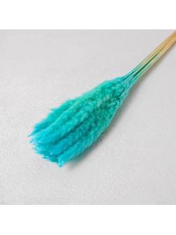 Сухоцвет «Камыш» набор 15 шт, цвет голубой