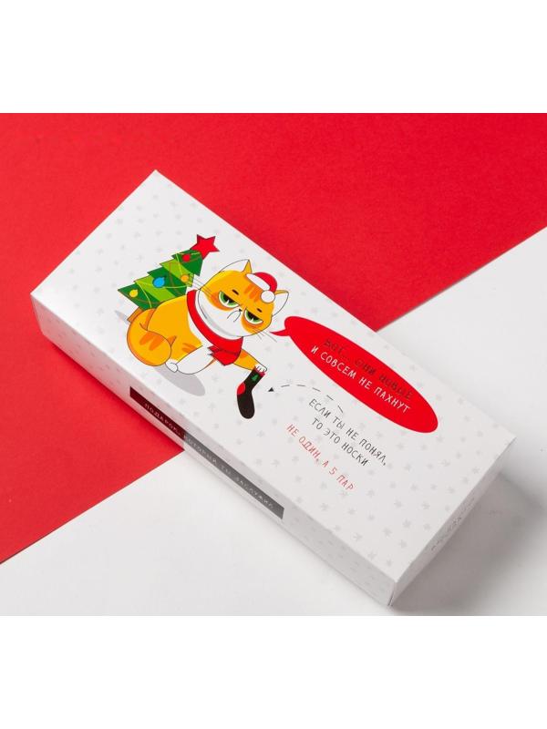 Набор новогодних мужских носков 5 пар 