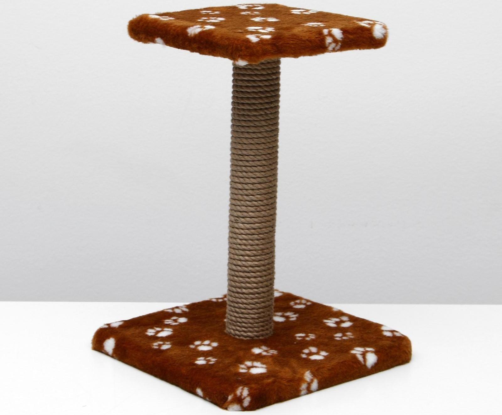 Когтеточка 