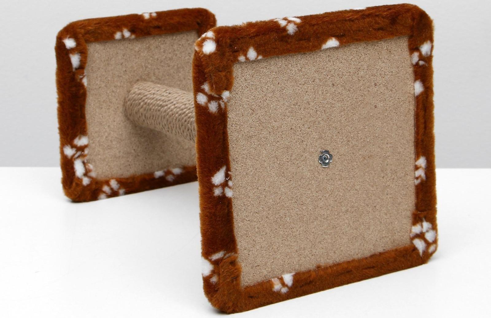 Когтеточка 