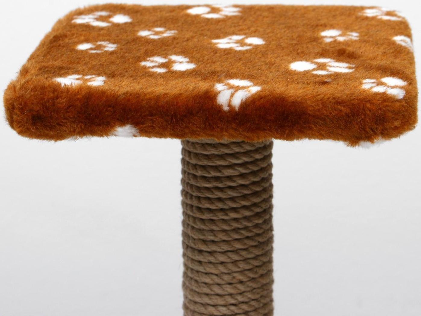 Когтеточка 