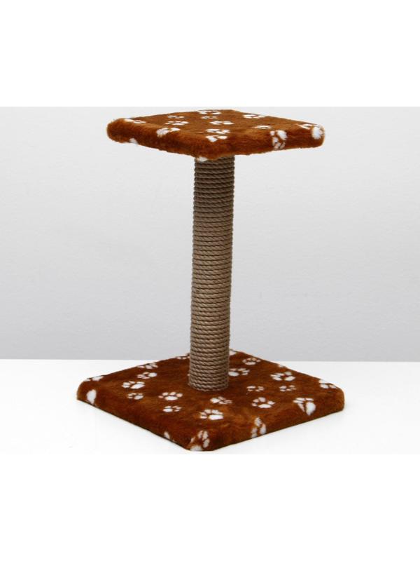 Когтеточка 