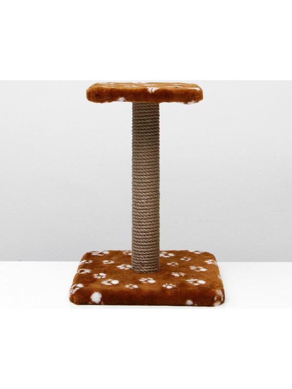 Когтеточка 