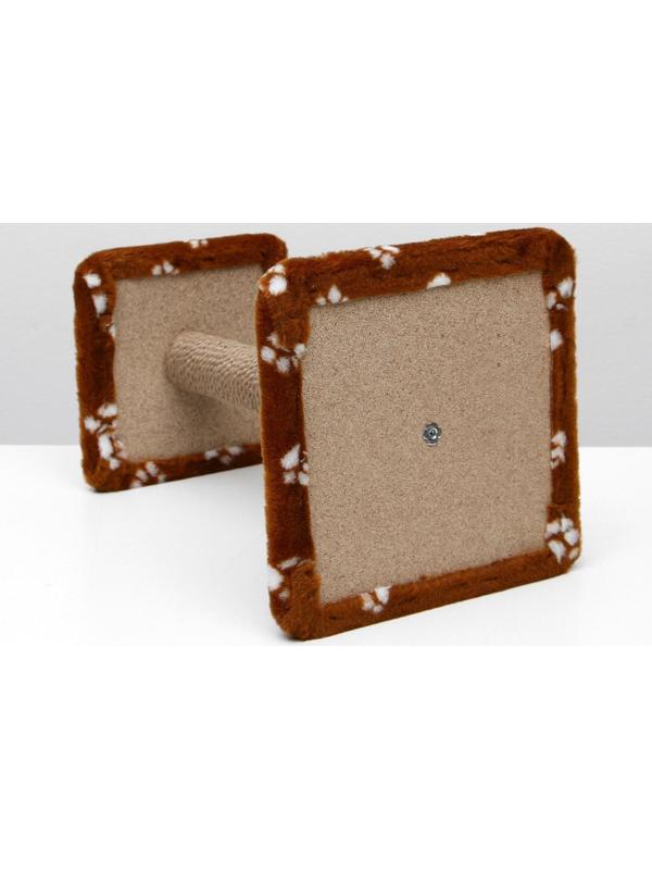 Когтеточка 