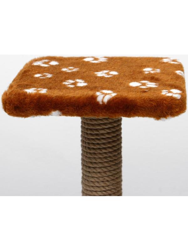 Когтеточка 