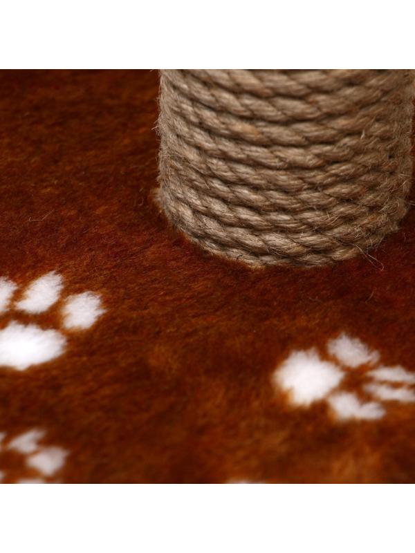 Когтеточка 