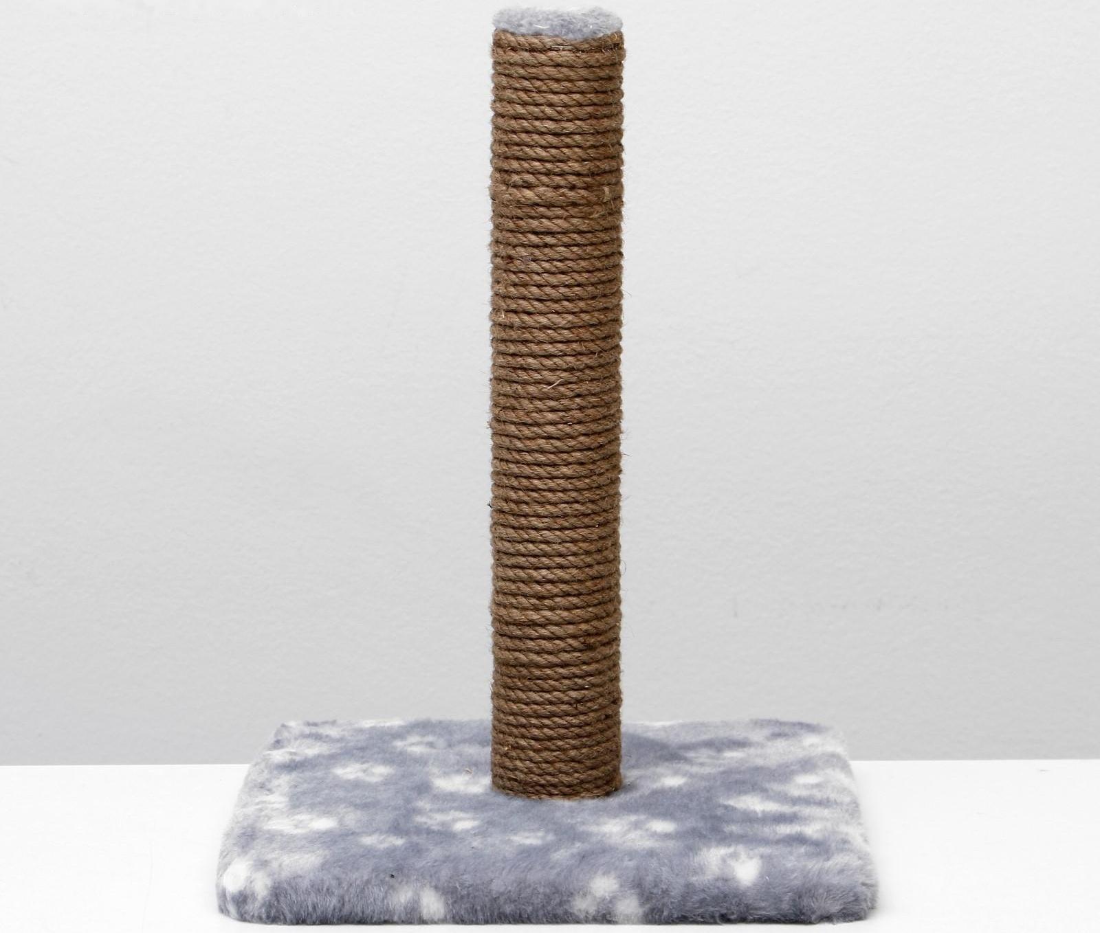 Когтеточка 