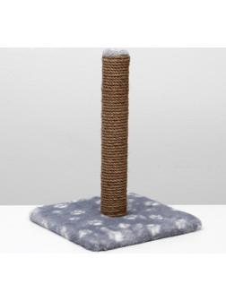 Когтеточка 