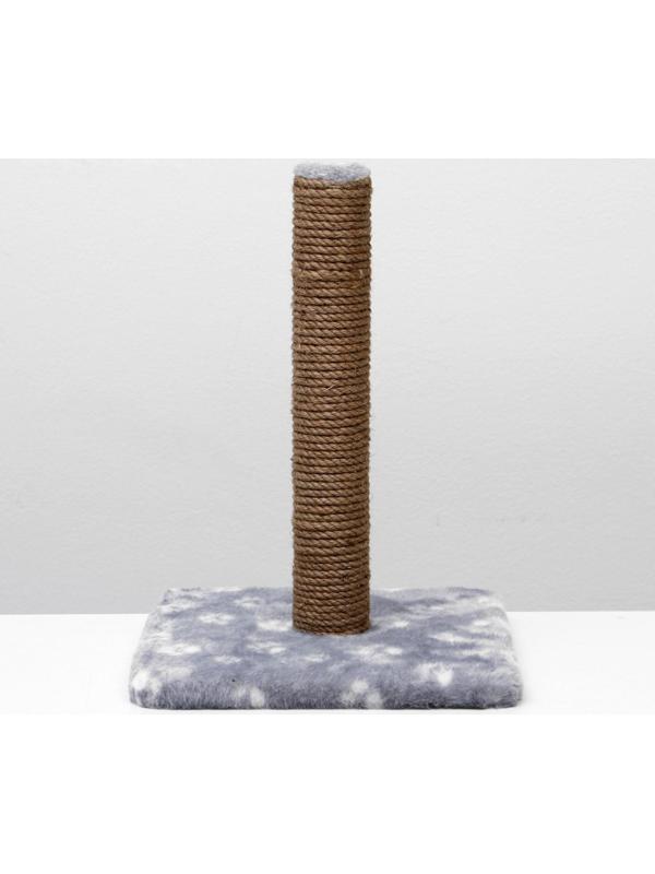 Когтеточка 