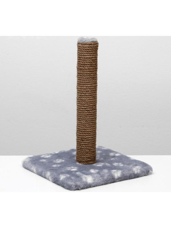 Когтеточка 