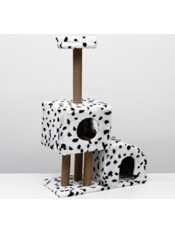 Домик-когтеточка  