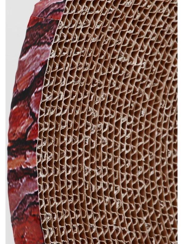 Гофрокогтеточка 