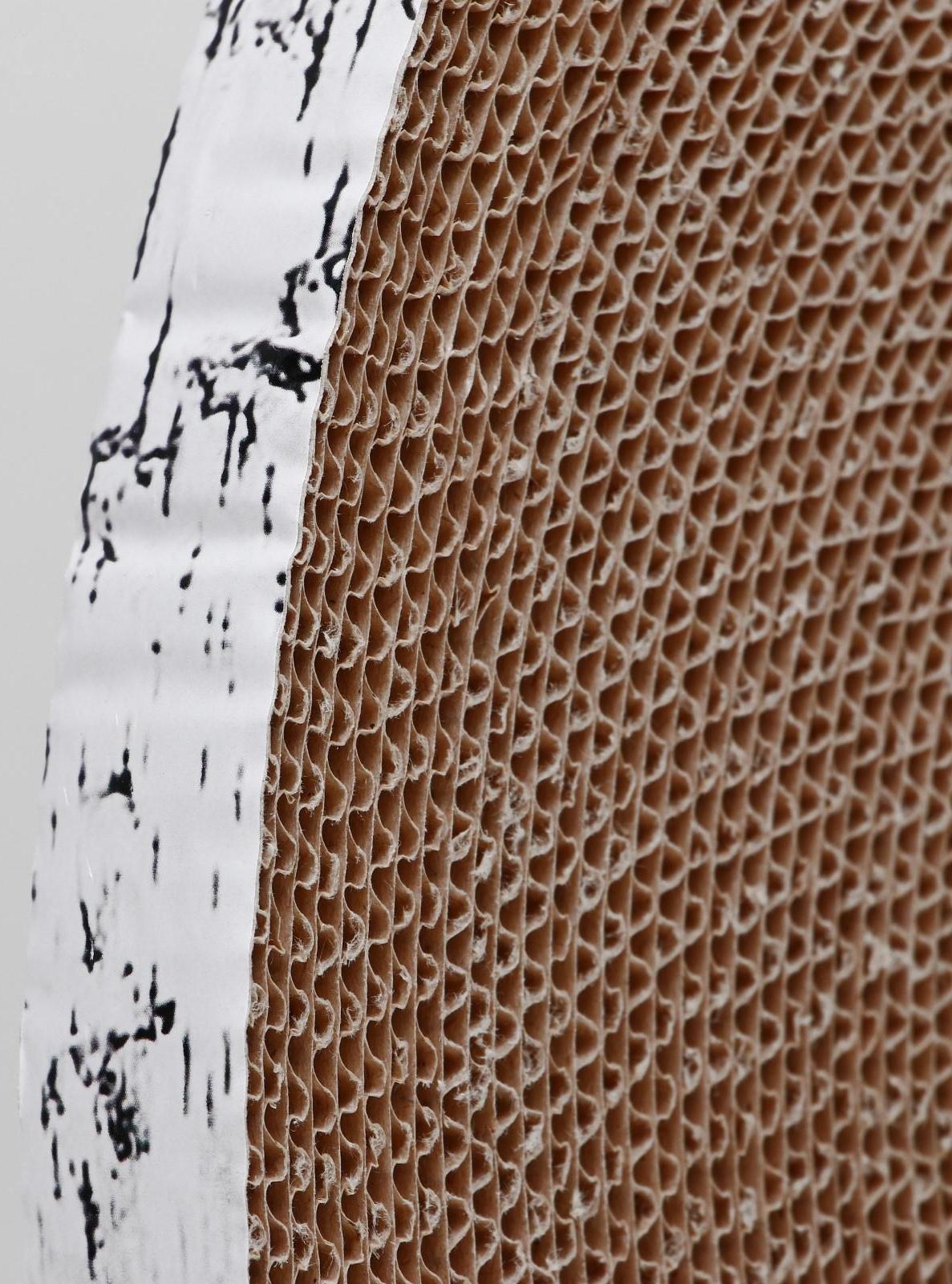 Гофрокогтеточка 