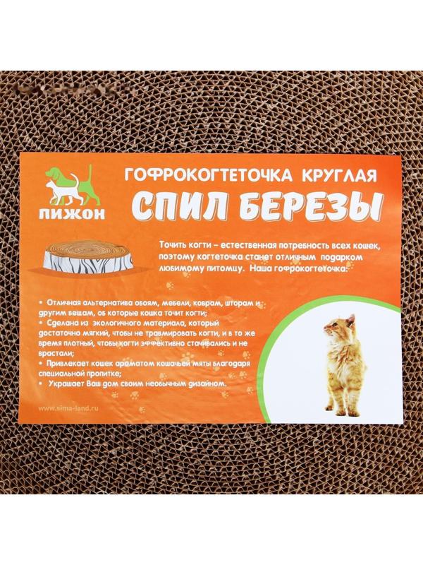 Гофрокогтеточка 