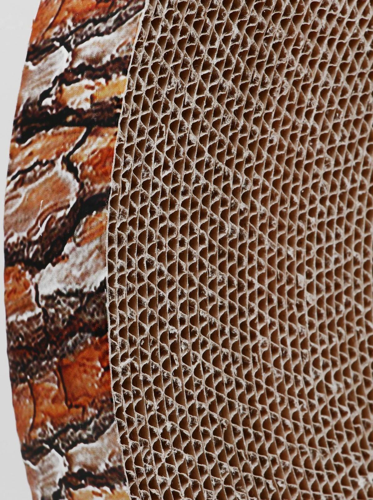 Гофрокогтеточка 