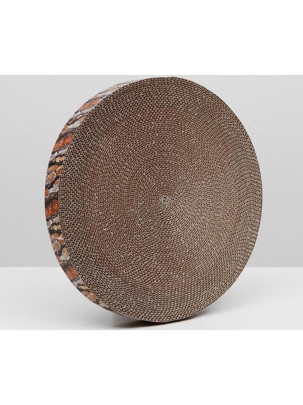 Гофрокогтеточка 