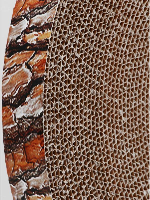 Гофрокогтеточка 