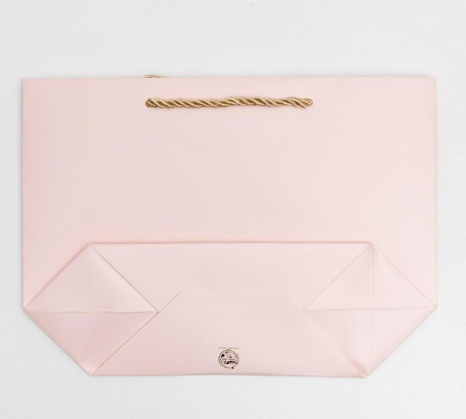 Пакет подарочный «Best wishes», 28 х 20 х 9 см