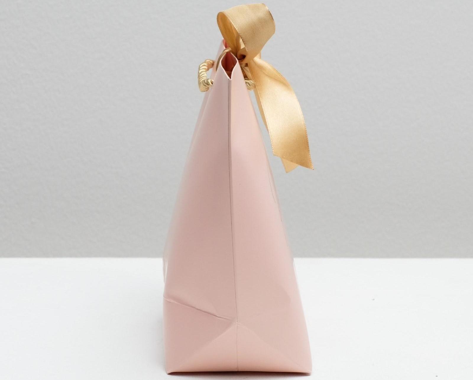 Пакет подарочный «Best wishes», 28 х 20 х 9 см