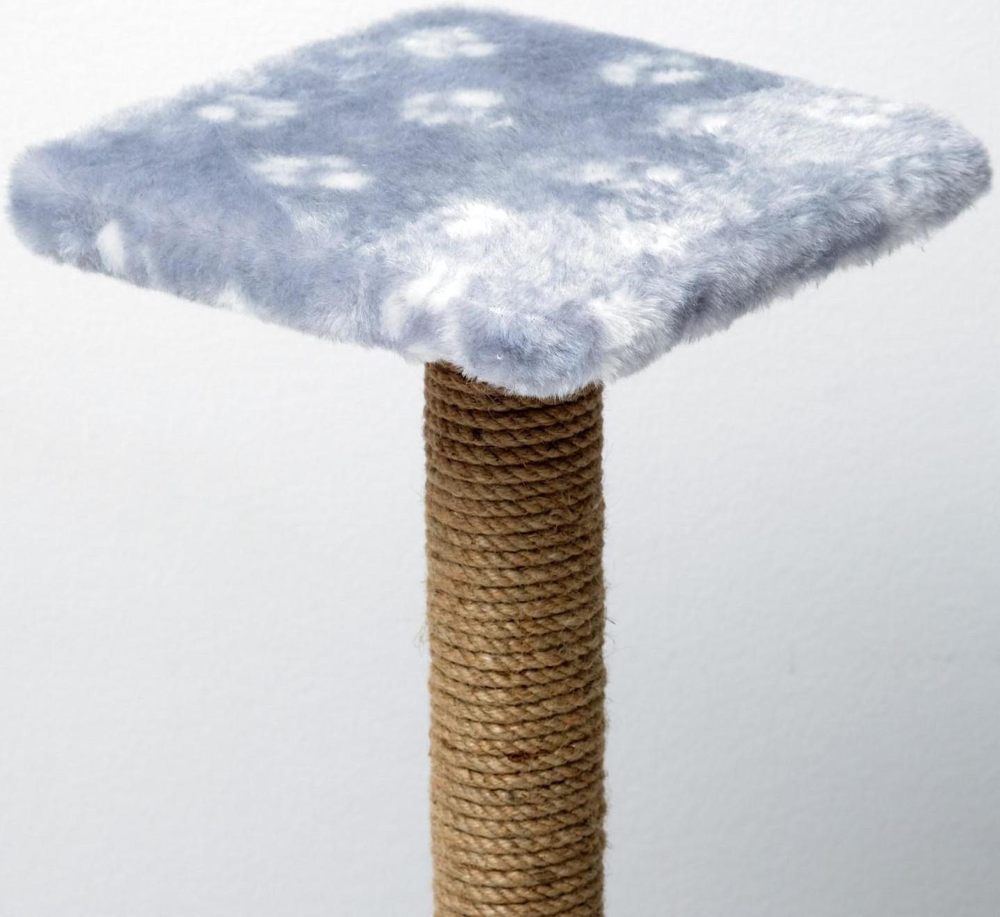 Когтеточка 