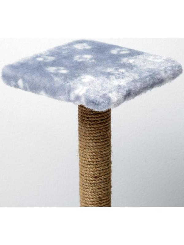 Когтеточка 