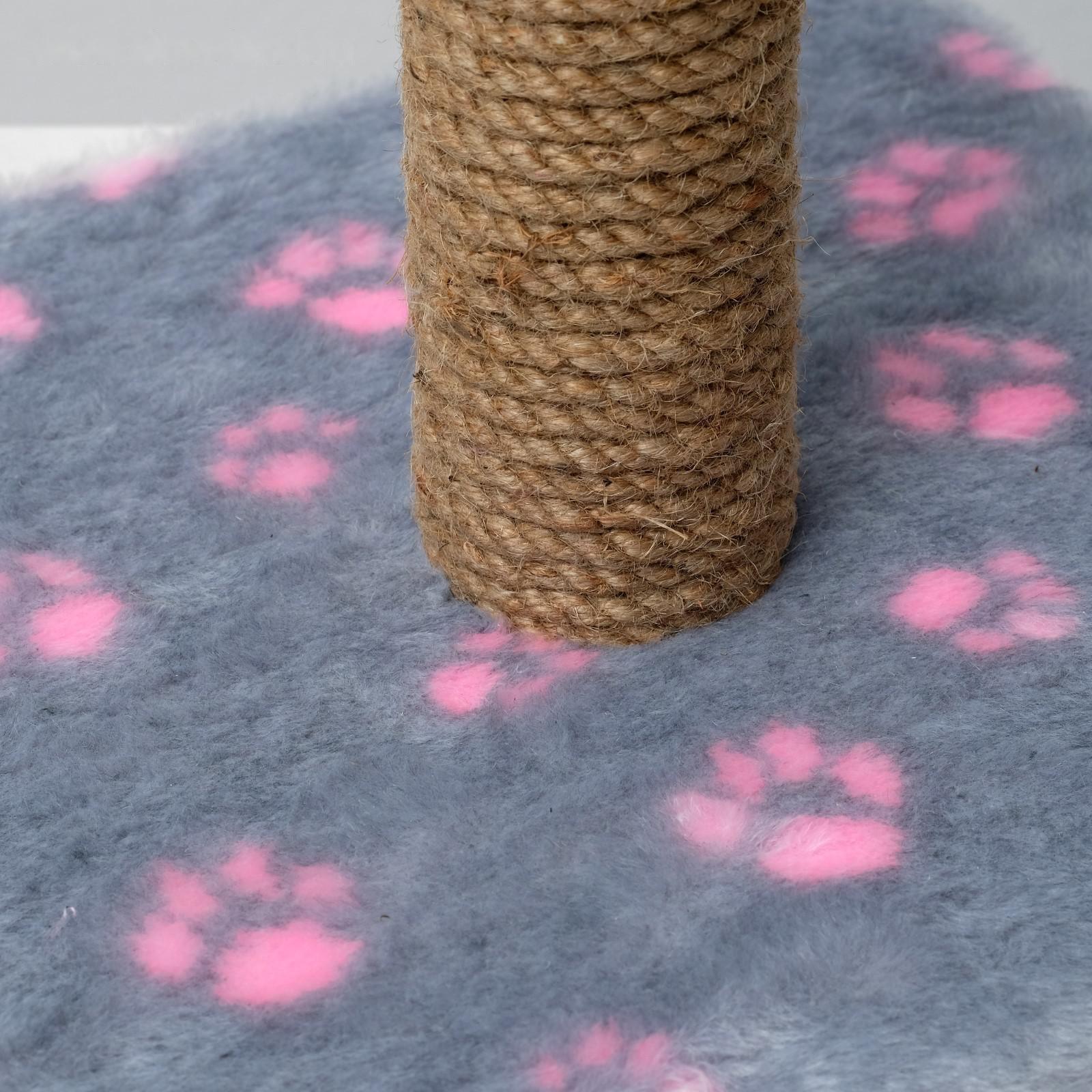 Когтеточка 