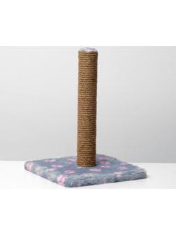 Когтеточка 