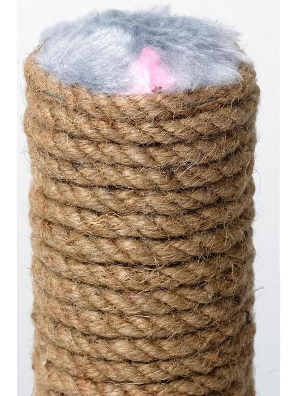 Когтеточка 