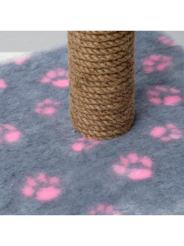 Когтеточка 