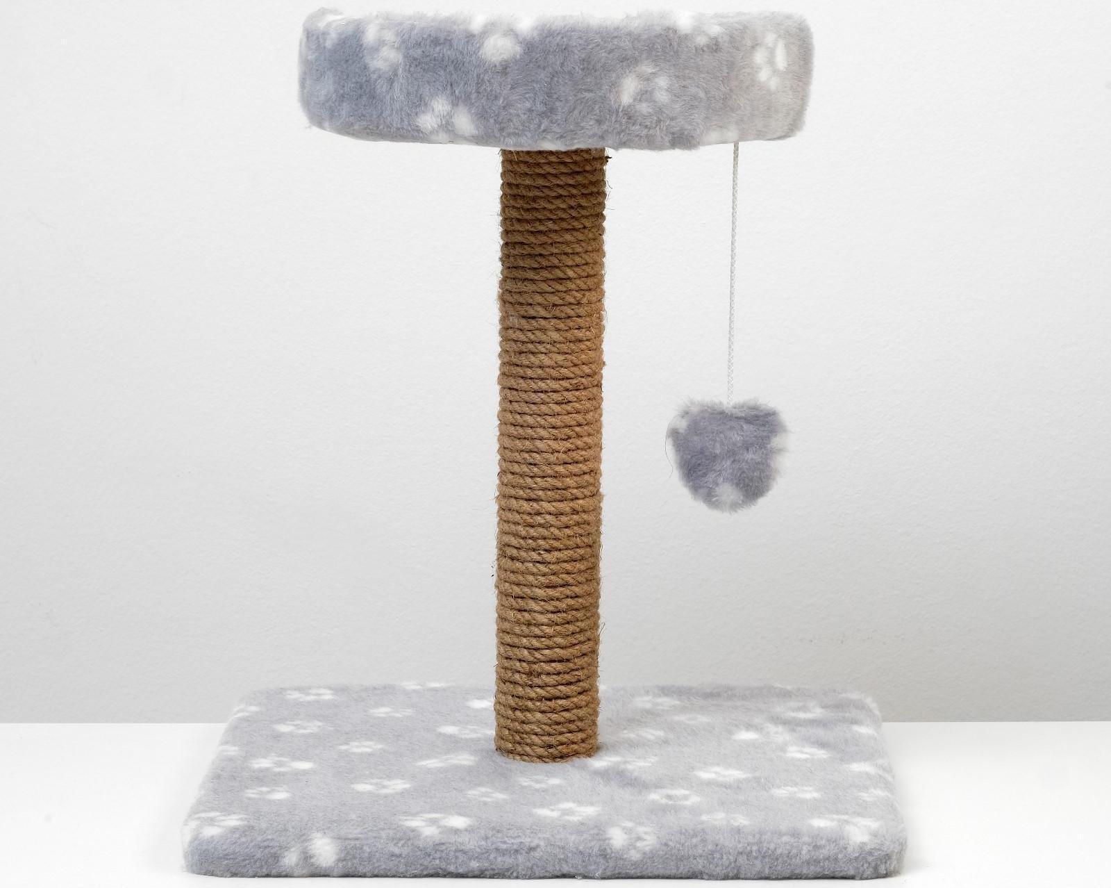 Когтеточка малая 