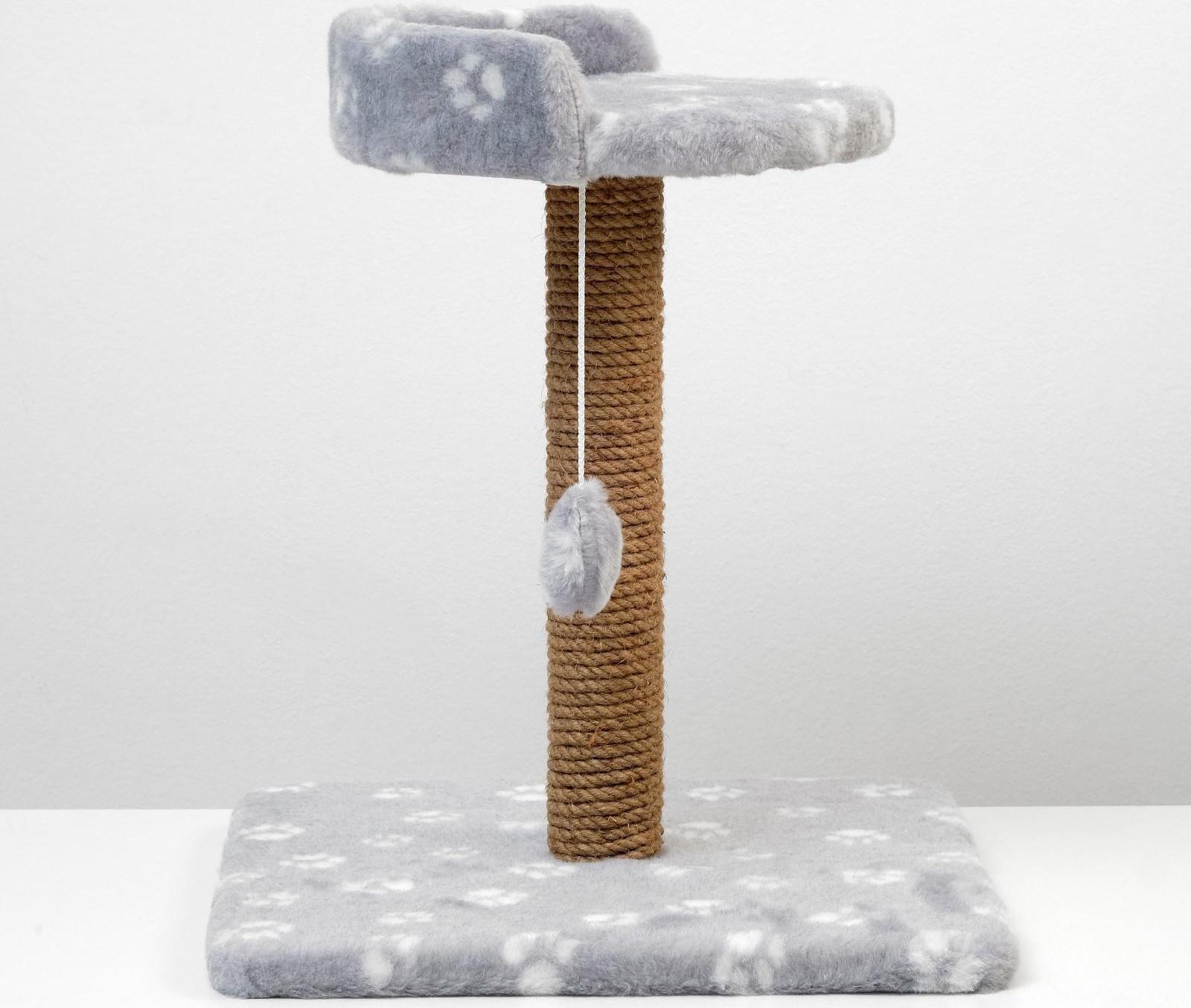 Когтеточка малая 