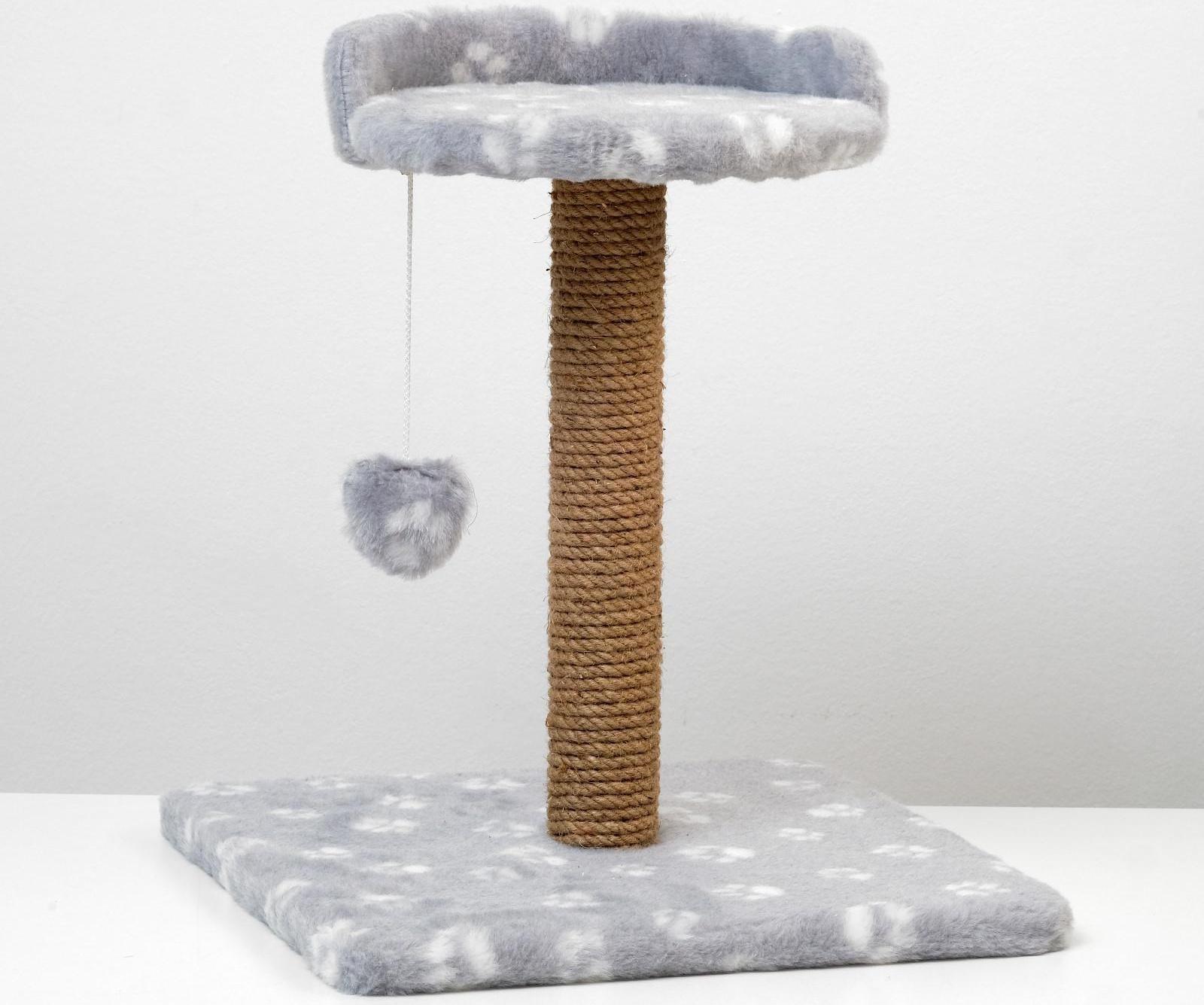 Когтеточка малая 