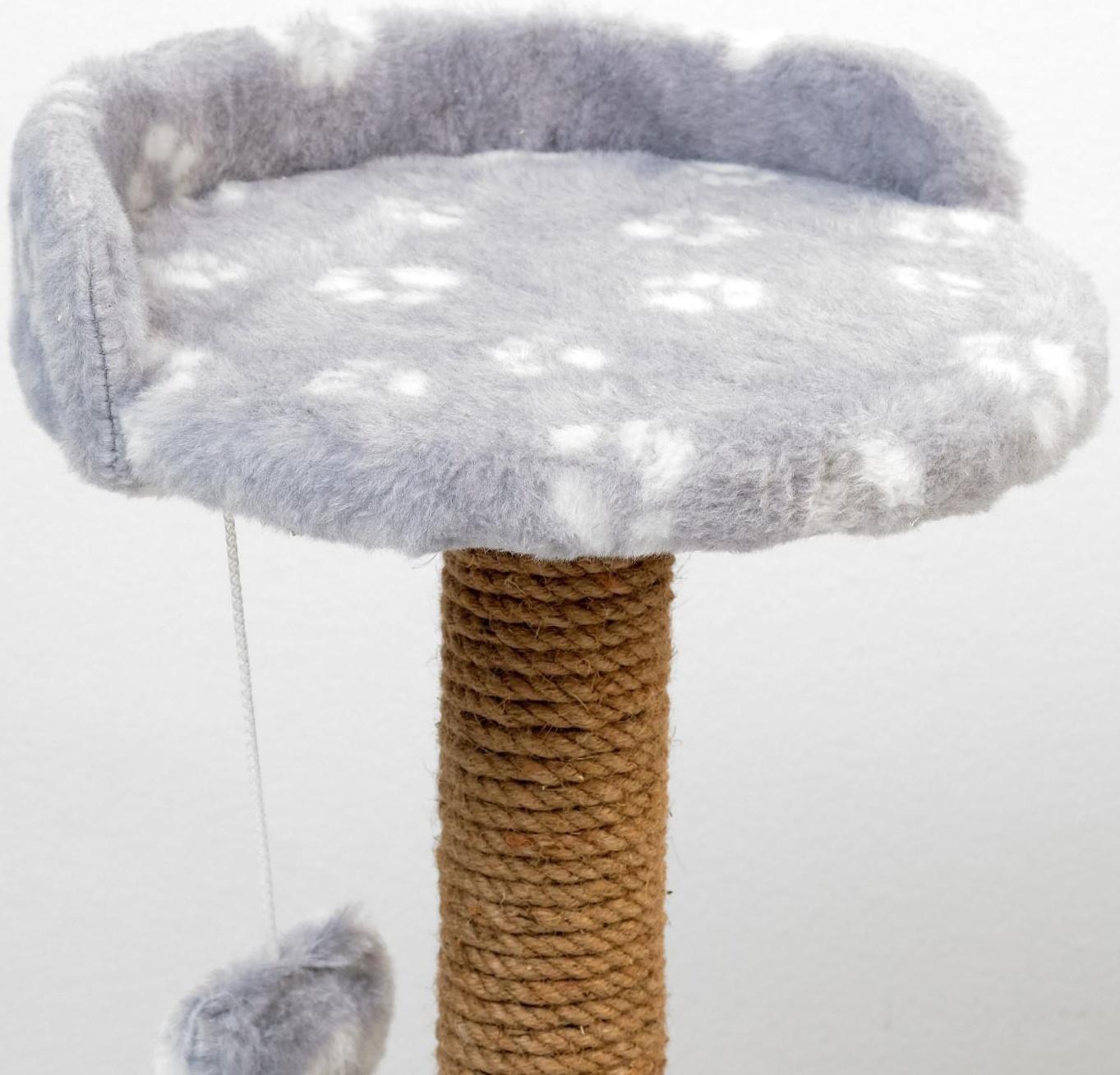 Когтеточка малая 