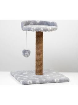 Когтеточка малая 