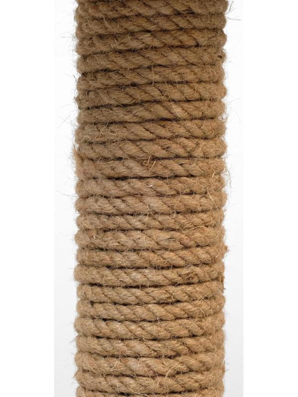 Когтеточка малая 